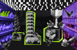 Tales Beyond The Page