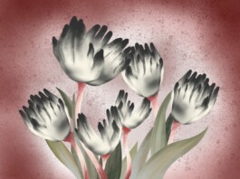 Tales Beyond The Page