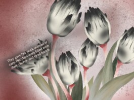 Tales Beyond The Page